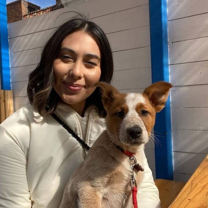 Meet helen, 31 Female from Amerika Birleşik Devletleri - Free Online Dating at AhhDate - Photo 1230