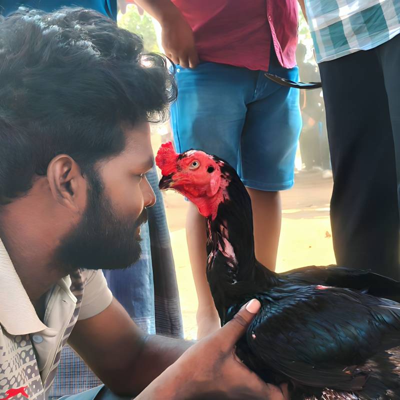 Meet Mohan, 27 Male from India - Free Online Dating at AhhDate - Photo 6828