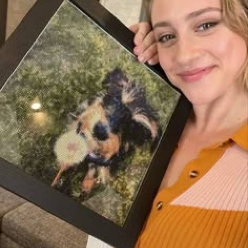 Meet Reinhart, 29 Female from Colorado, United States - Free Online Dating at AhhDate - Photo 5966