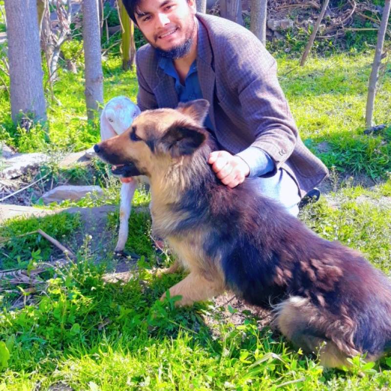 Meet Anees, 23 Male from PESHAWAR, Austria - Free Online Dating at AhhDate - Photo 6369