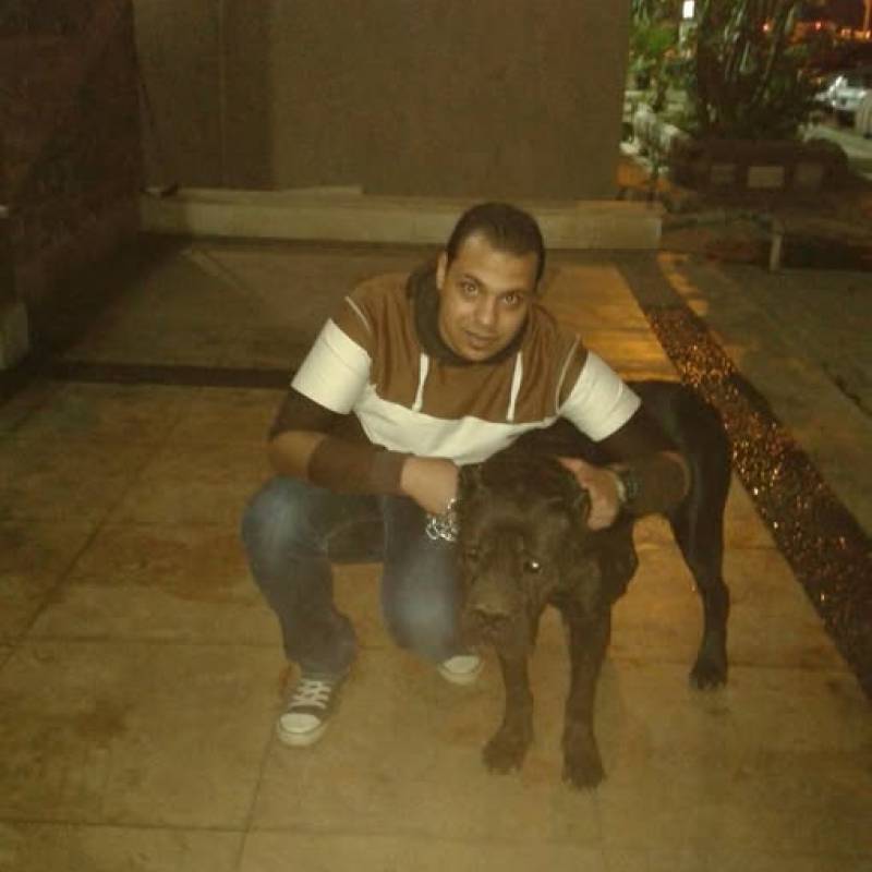 Meet Achraf, 38 Male from القاهرة, Egipto - Free Online Dating at AhhDate - Photo 9526
