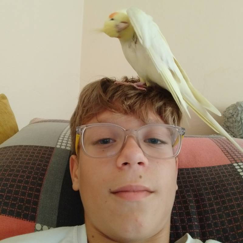 Meet Burak, 20 Male from Truthahn - Free Online Dating at AhhDate