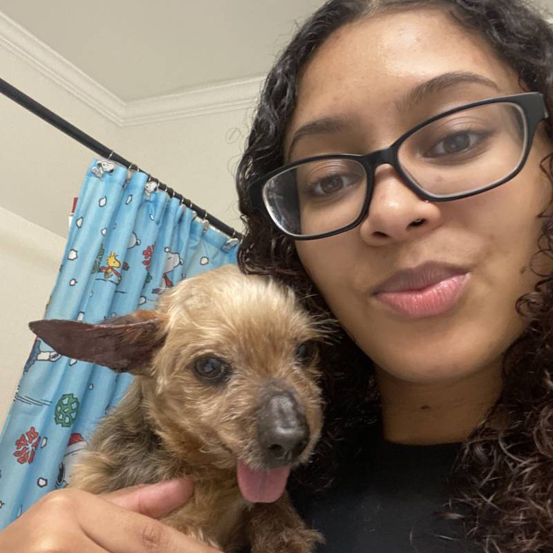 Meet Toniya, 35 Female from Netherlands - Free Online Dating at AhhDate - Photo 14213