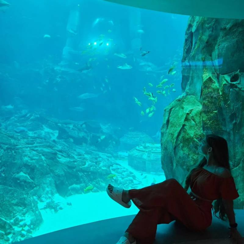 Meet Nata, 18 Female from United States - Free Online Dating at AhhDate