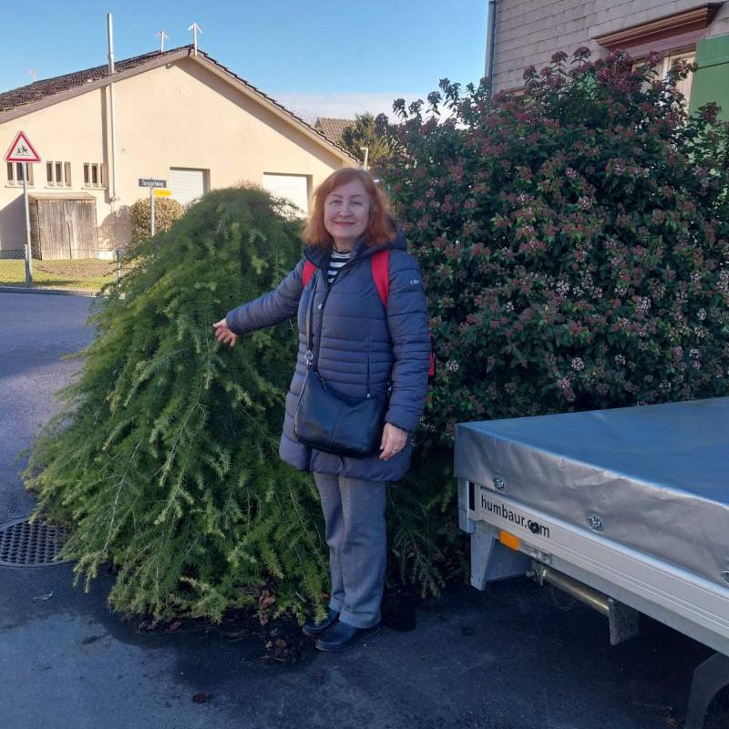 Dating in St Gallen: Ele. 63 years old. Free Online Dating.